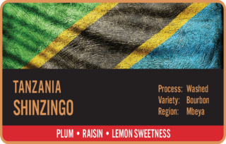 STEAM Tanzania Shinzingo